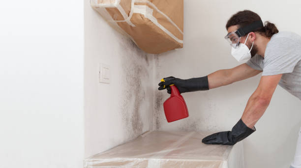 Professional Mold Testing technician working in Wheaton, IL