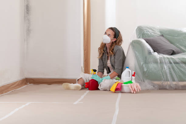 Reliable Mold Testing contractor in Wheaton, IL by WQB Mold Removal